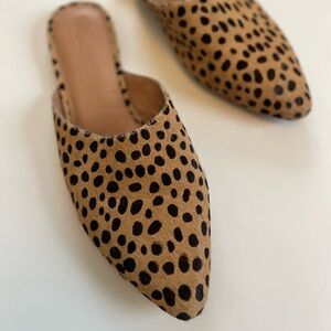 Madewell Remi Mule in Leopard